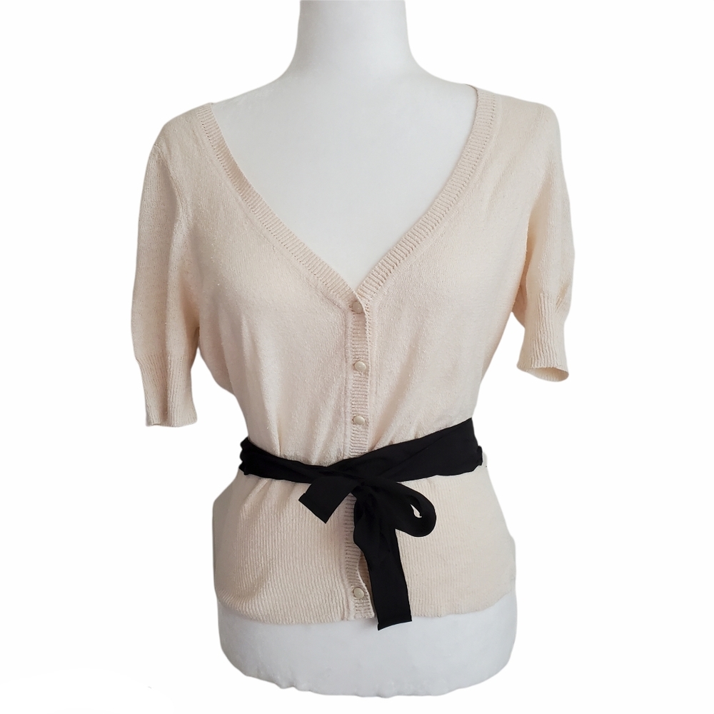 New Anthropologie Maeve Silk + Linen Button Down Top